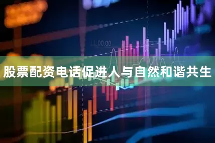 股票配资电话促进人与自然和谐共生