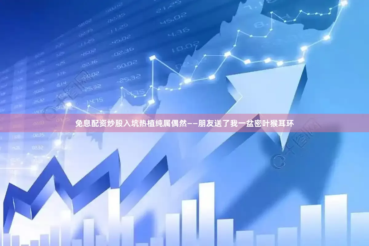 免息配资炒股入坑热植纯属偶然——朋友送了我一盆密叶猴耳环