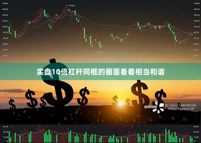 实盘10倍杠杆同框的画面看着相当和谐