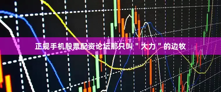 正规手机股票配资论坛那只叫＂大力＂的边牧