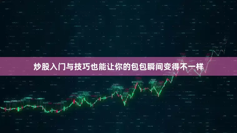 炒股入门与技巧也能让你的包包瞬间变得不一样