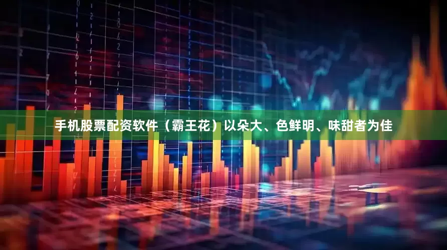 手机股票配资软件（霸王花）以朵大、色鲜明、味甜者为佳