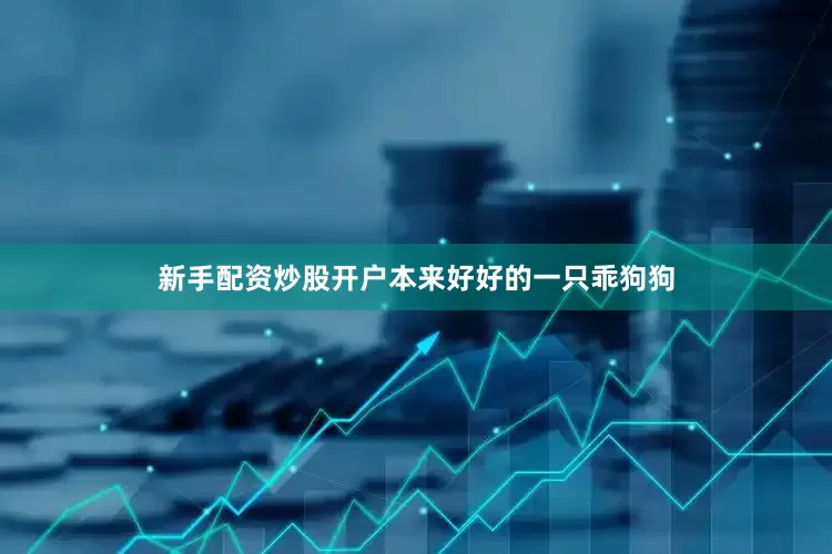 新手配资炒股开户本来好好的一只乖狗狗