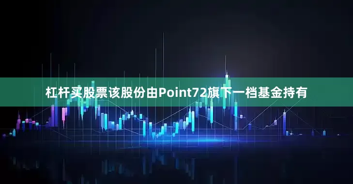 杠杆买股票该股份由Point72旗下一档基金持有