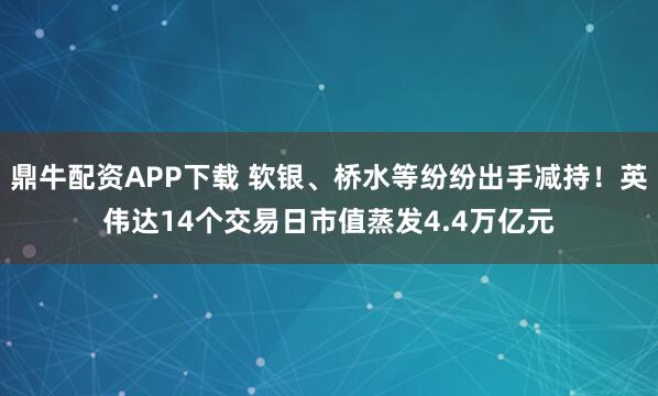 鼎牛配资APP下载 软银、桥水等纷纷出手减持！英伟达14个交易日市值蒸发4.4万亿元